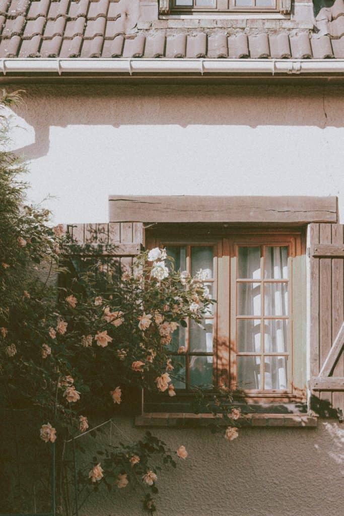 Holiday Lets and Property Investment image